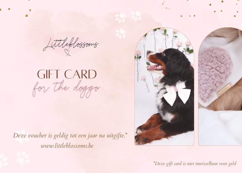 Digitale cadeaubon