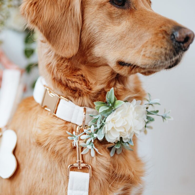 Blossom & Fern corsage - Afbeelding 4